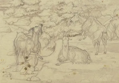 Grazing Goats