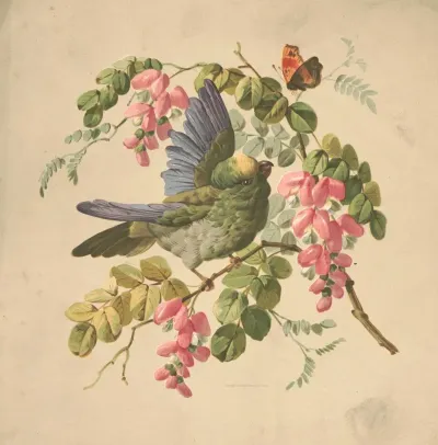 Green Parrot And Acacia