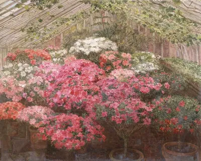 Greenhouse With Azaleas