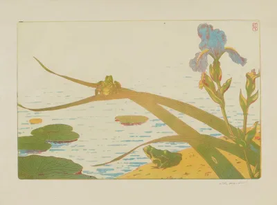 Grenouilles Et Iris 2