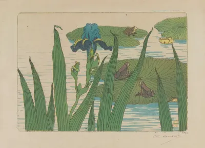 Grenouilles Iris Et Nenuphars