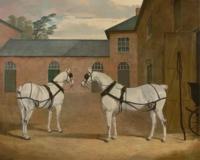 Grey Carriage Horses In The Coachyard At Putteridge Bury Hertfordshire
