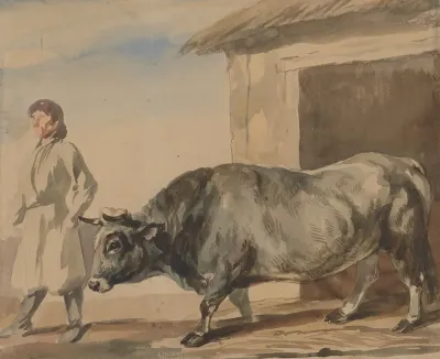 Grey Ox And A Peasant From Bolestraszyce