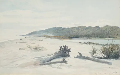 Grey River On The Beach
