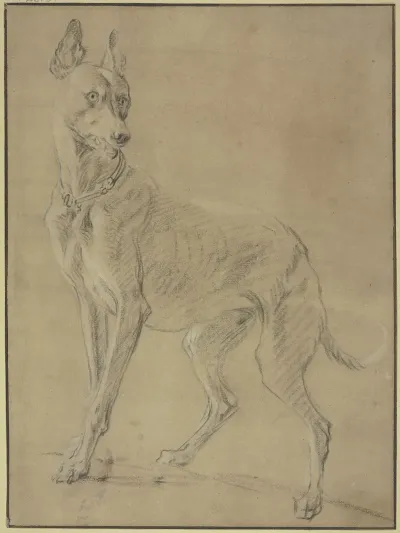Greyhound To The Left