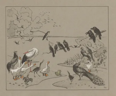 Groep Diverse Vogels En Een Kikker