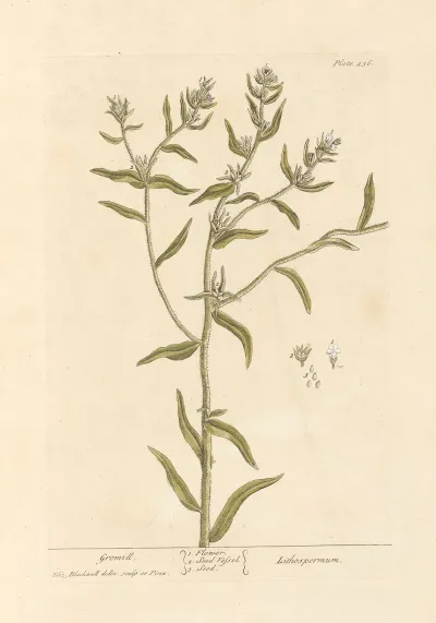 Gromill