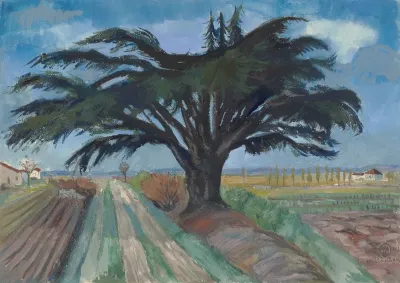 Groser Baum Zwischen Feldern Bei Montauban