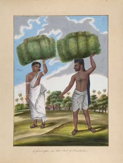 Grossmonger In Low Cast Of Malabar