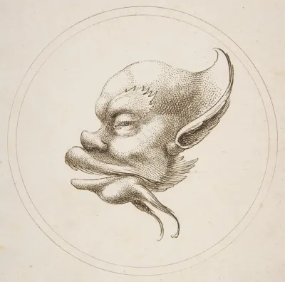 Grotesque Head With A Large Eyebrow Looking To The Left Within A Circle