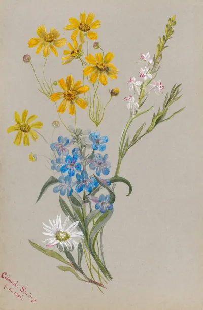 Group Of Flowers 2