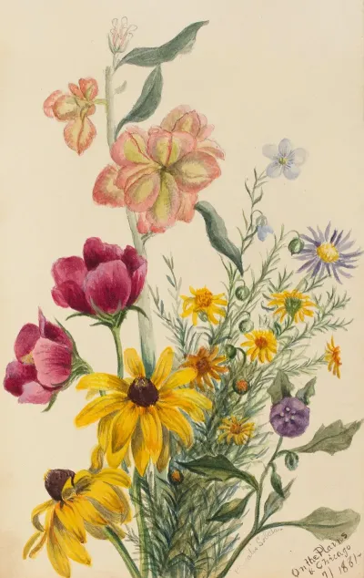 Group Of Flowers
