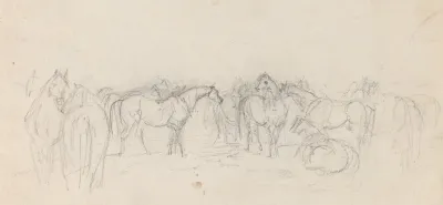 Group Of Horses
