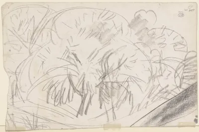 Group Of Trees 3