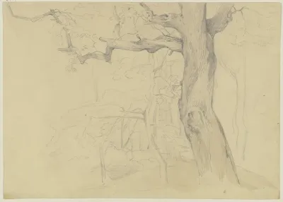 Group Of Trees 7