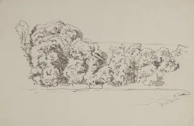 Group Of Trees 9