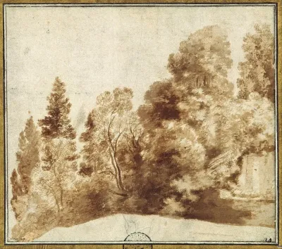 Group Of Trees At A Wall