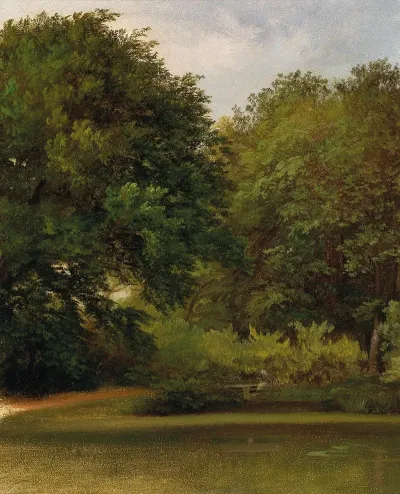 Group Of Trees In The Park