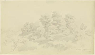 Group Of Trees Near Olevano