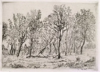 Group Of Trees