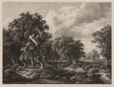 Groups Of Various Plants Drawn After Nature No 7 2