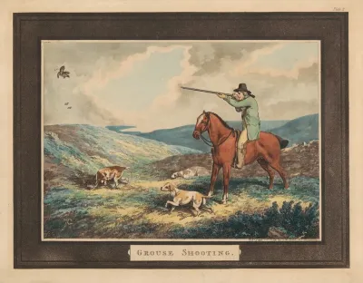Grouse Shooting 2