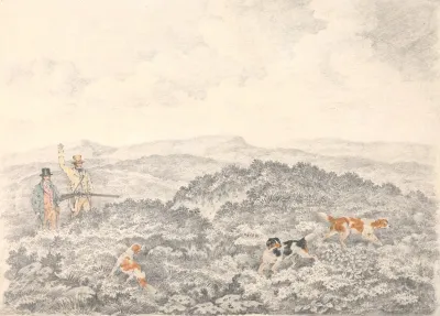 Grouse Shooting 3