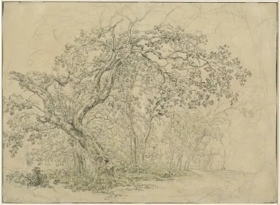Grove Of Trees Verso