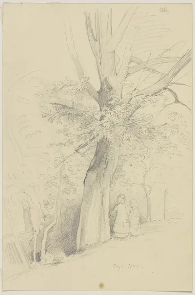 Grove With Two Children