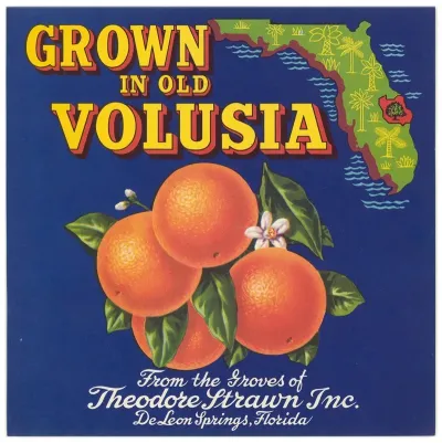Grown In Old Volusia Can Label