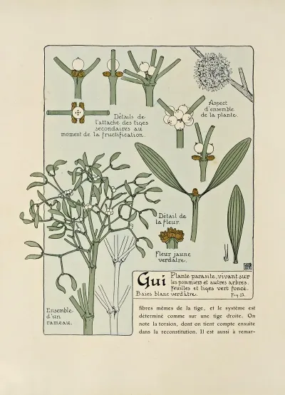 Gui