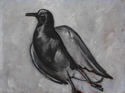 Gull