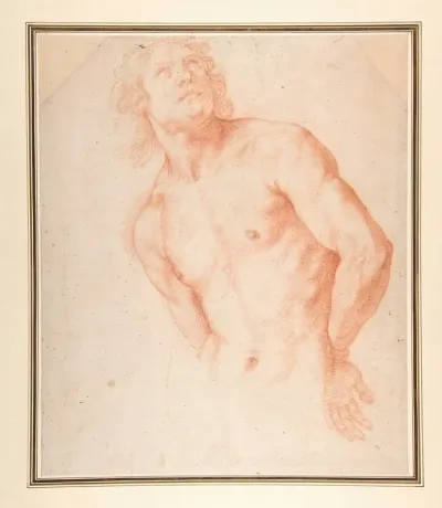 Half Figure Of A Male Nude With Arms Behind Back