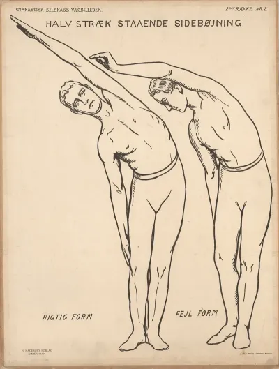 Half Stretch Standing Side Bending Right Form Wrong Form Halv Straek Staende Sidebojning