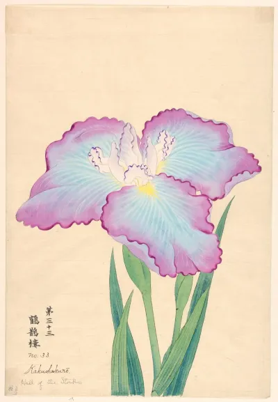 Hall Of The Storks Kakushakuro
