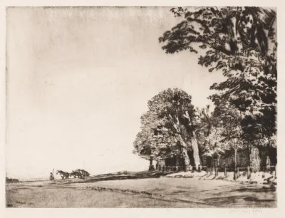 Hampstead Heath 5