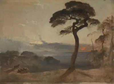 Hampstead Heath Sunset