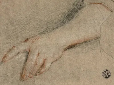 Hand Pointing And Forearm