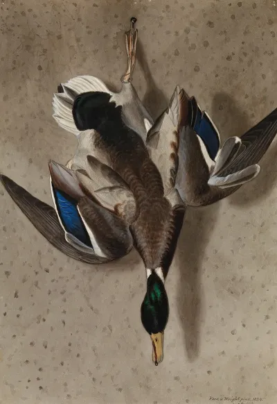 Hanging Mallard