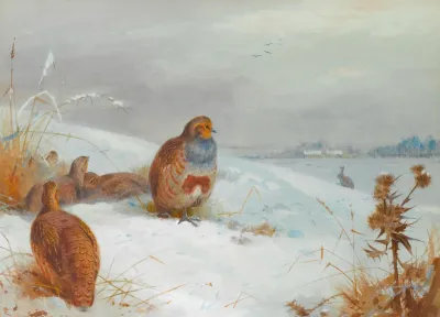 Hard Times Partridges And A Hare