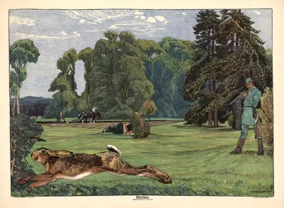 Hare 6