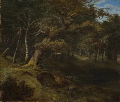 Hare Hunt In A Beech Forest