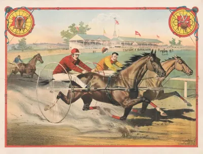 Harness Racing Scene