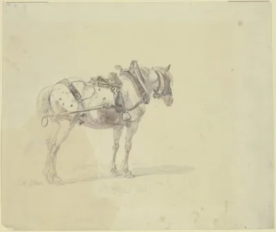 Harnessed Horse