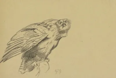 Harpy 2