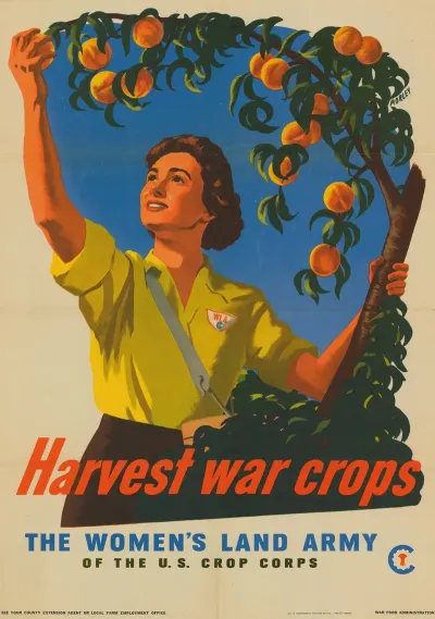 Harvest War Crops