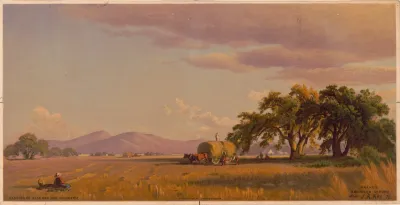 Harvesting Near San Jose
