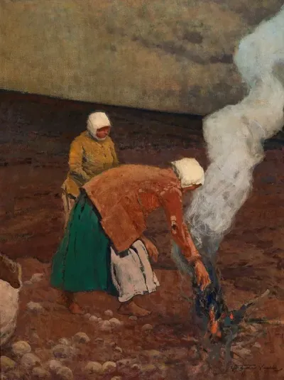 Harvesting Potatoes