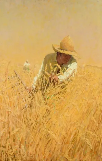 Harvesting The Wheat