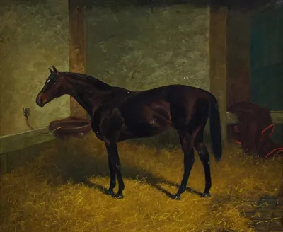 Hastings In A Stable